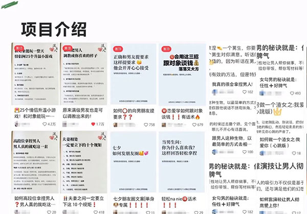 比较火爆的情感变现项目，0成本高回报-壹度创客网